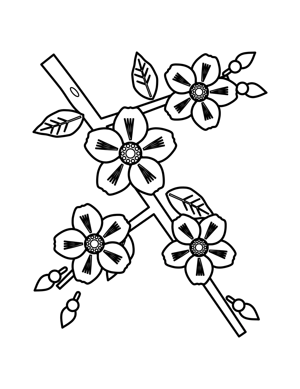 Cherry blossom coloring page showing a diagonal branch with several five-petal blossoms, small buds and leaves.