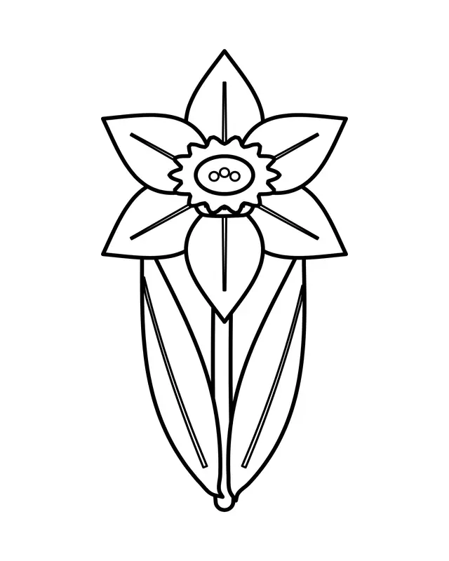 Bold daffodil coloring page with six pointed petals, a ruffled cup, a long stem and two tall leaves.