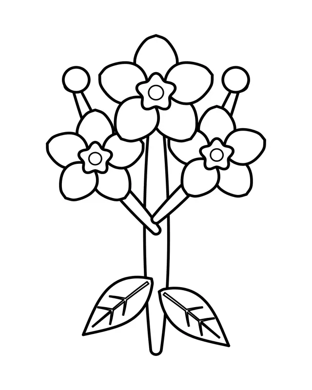 Easy forget-me-not coloring page with three five-petal blooms, two round buds and two veined leaves on a branching stem.