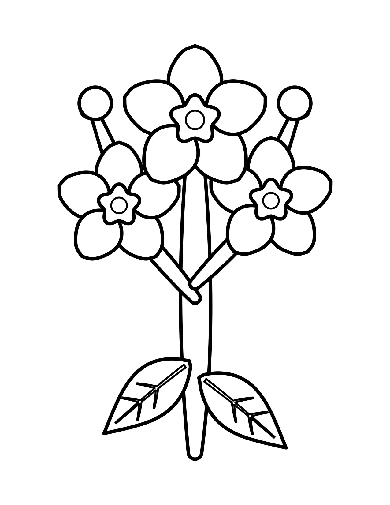 Easy forget-me-not coloring page with three five-petal blooms, two round buds and two veined leaves on a branching stem.