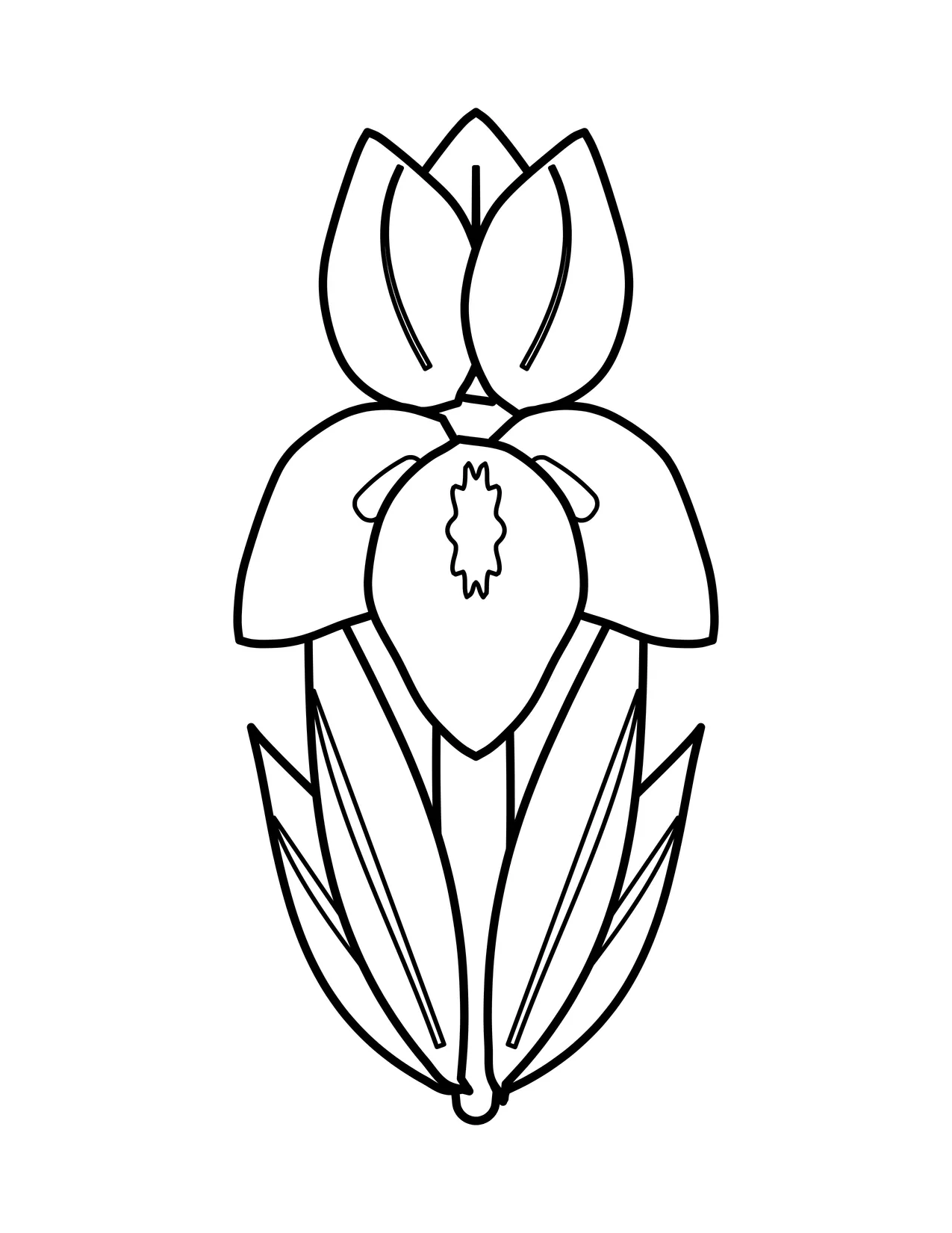 Easy iris coloring page with three upright petals, three drooping petals, a marked center and sword-shaped leaves.