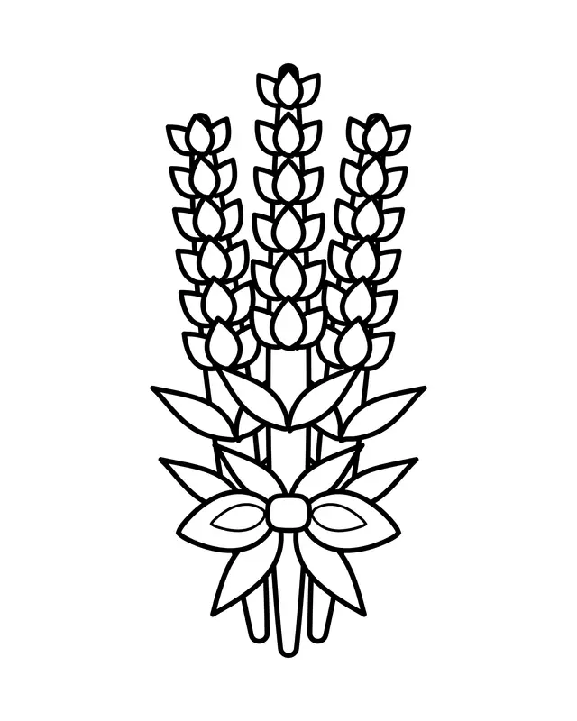 Three lavender stems tied with a ribbon bow, each spike lined with small oval buds and narrow leaves.