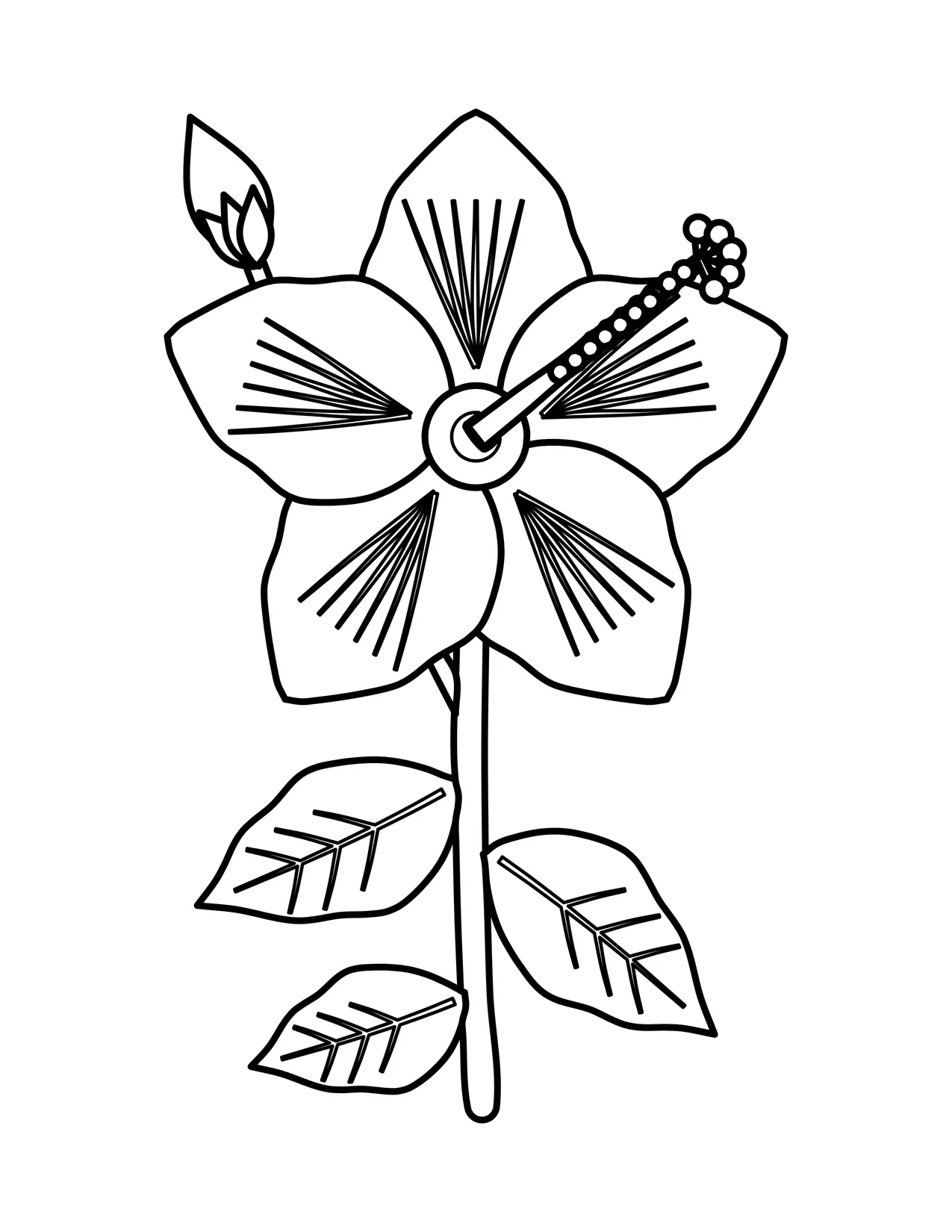 Hibiscus coloring page with a large five-petal hibiscus flower, a long center stamen, a side bud and serrated leaves.