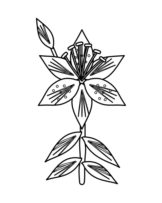 Lily coloring page showing an open lily with six pointed petals and long stamens, a closed bud above, and narrow leaves along the stem.