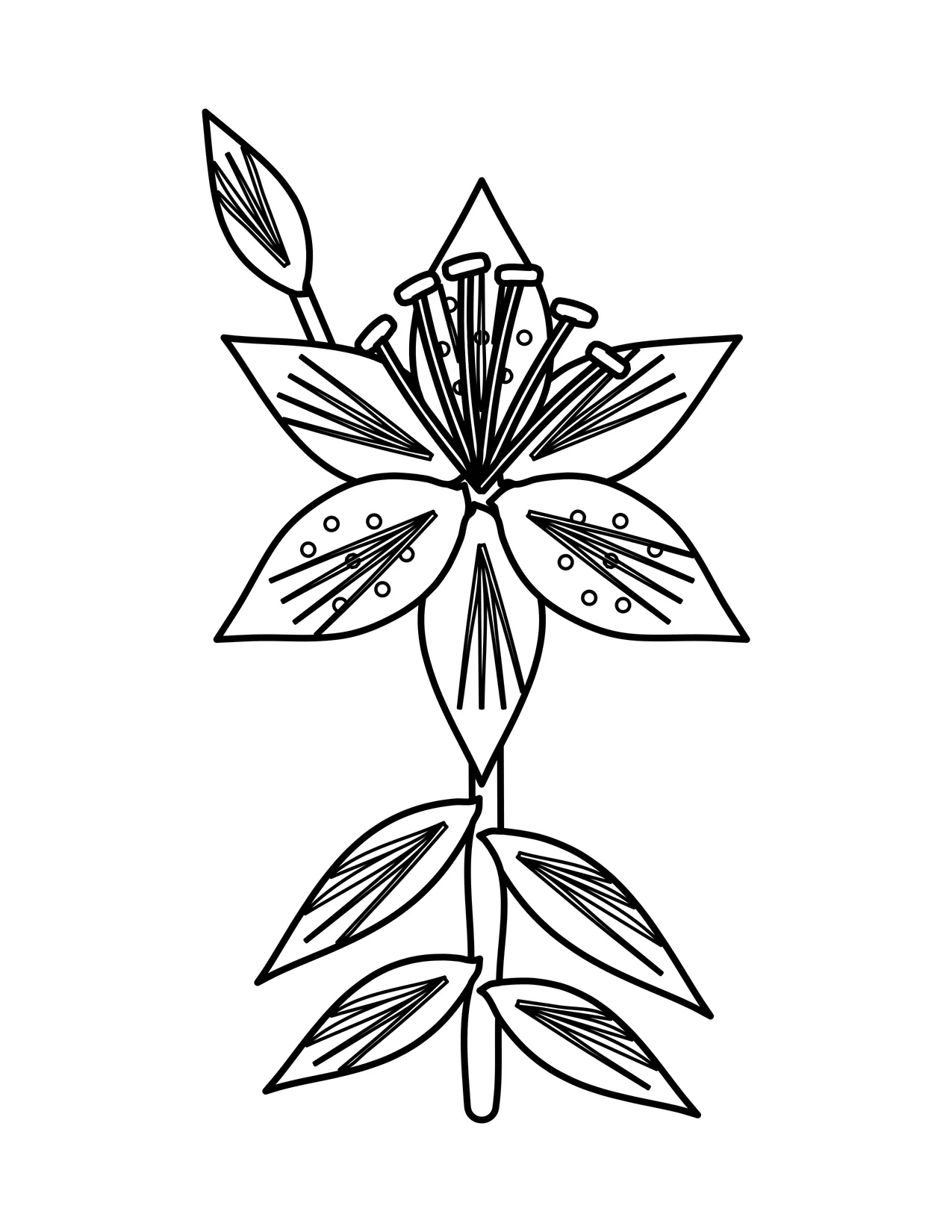 Lily coloring page showing an open lily with six pointed petals and long stamens, a closed bud above, and narrow leaves along the stem.