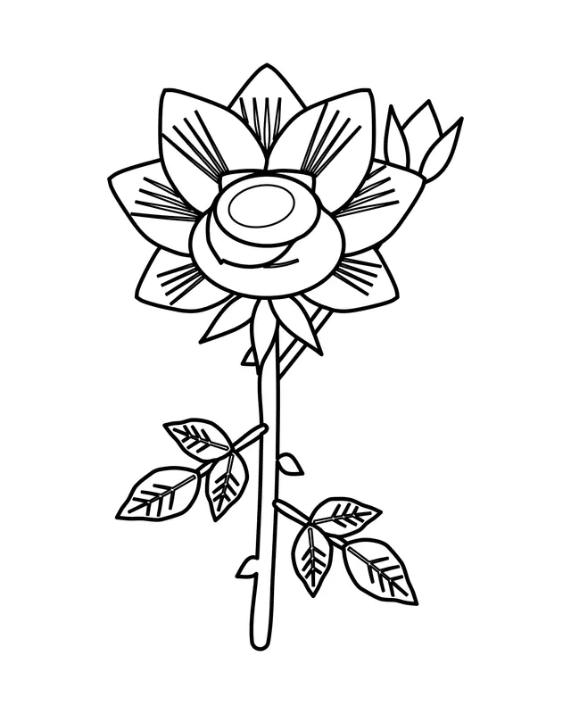 Rose coloring page with one open rose and a small bud on a stem with thorns and leaves, drawn in clean black lines.